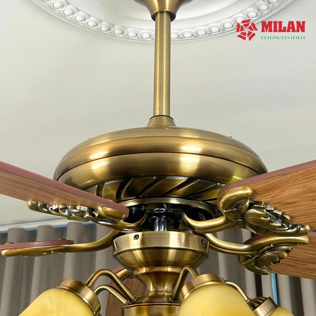 dong-co-dc-quat-tran-den-chum-5-canh-fy503